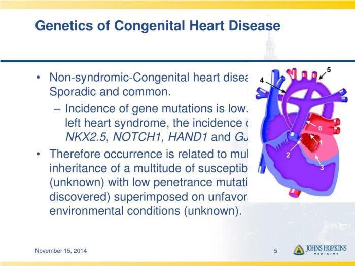 Congenital heart disease hesi case study