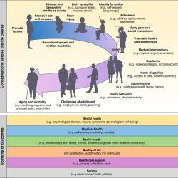 Congenital heart disease hesi case study