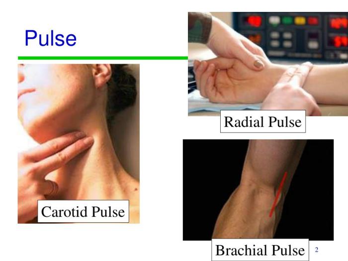 Pulse oximeter oxygen fingertip luxmo saturation