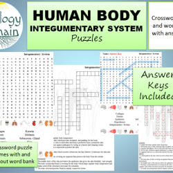 Integumentary system crossword puzzle answers