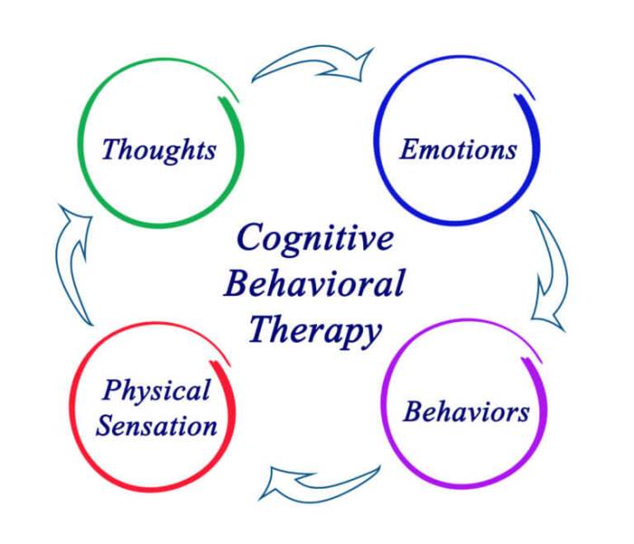 Cognitive behavioral frame of reference ot